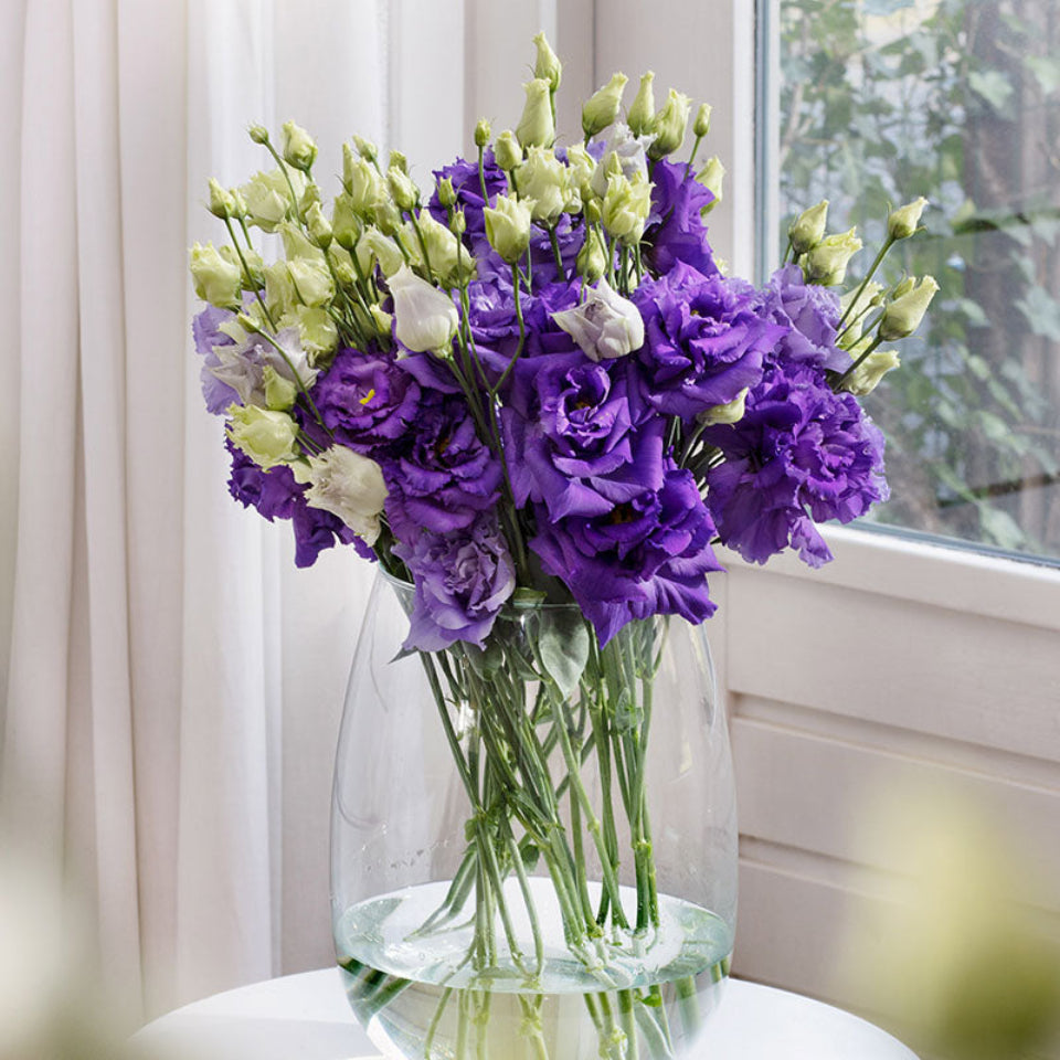 10 Semillas Lisianthus Blue echo