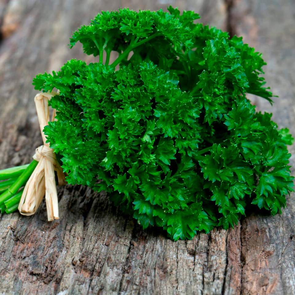 30 Semillas Perejil Crespo