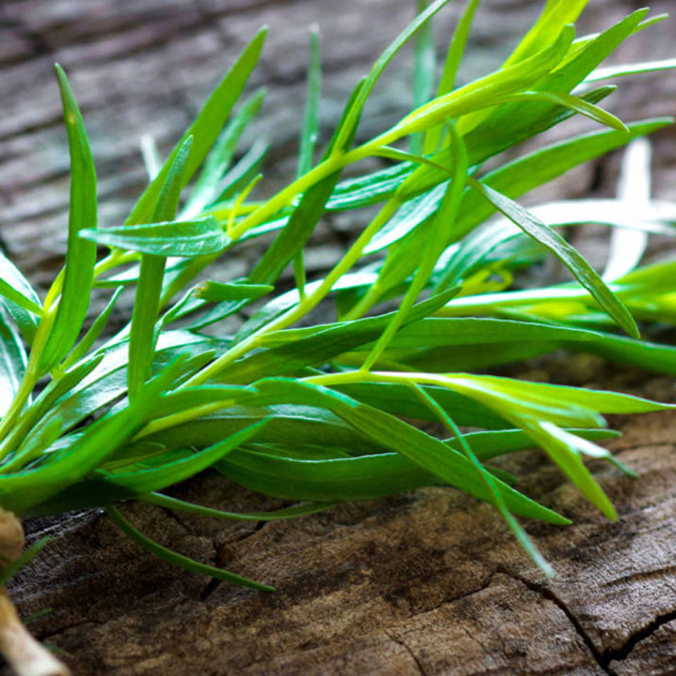 30 Semillas Estragon