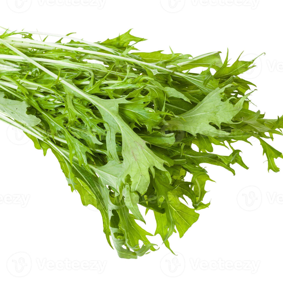 30 Semillas Mizuna Verde