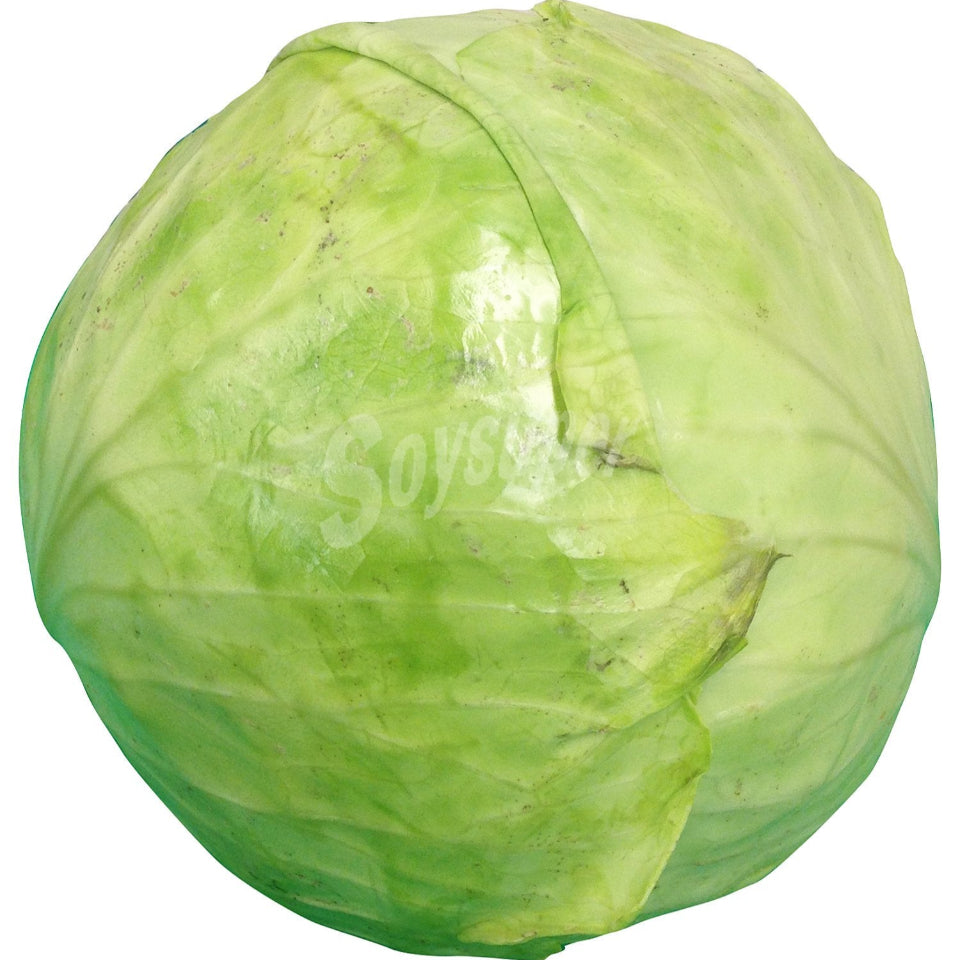 30 Semillas Repollo Liso