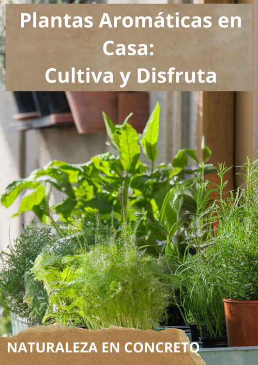 Plantas Aromáticas en Casa: Cultiva y Disfruta – Guía Completa de Jardinería