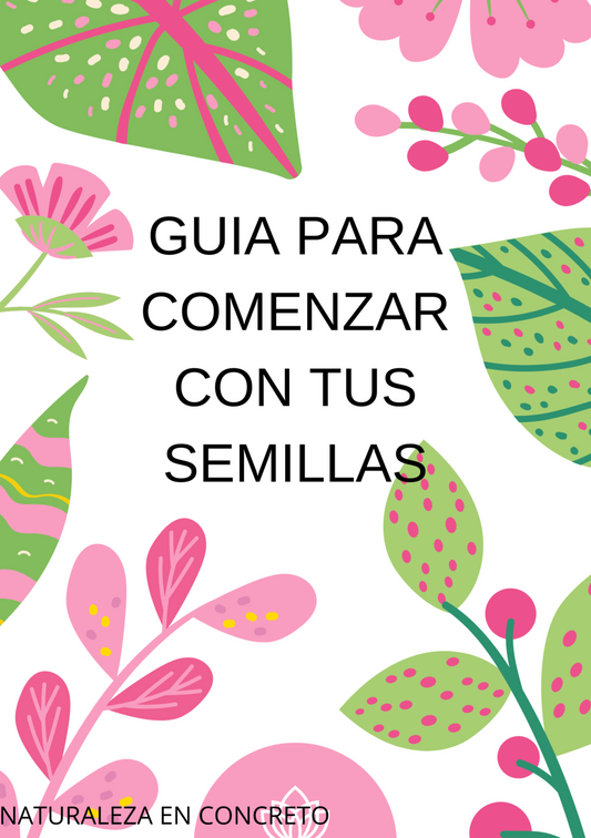 Guía para Empezar con tus Semillas – Aprende a Sembrar Fácil en Casa