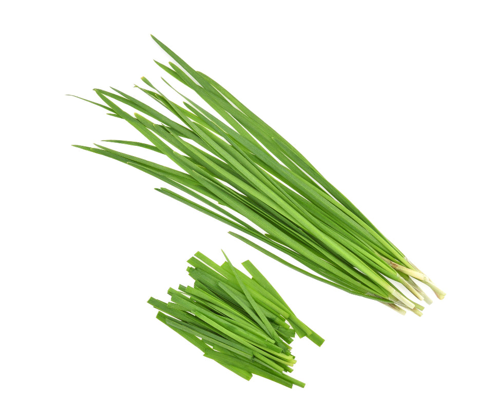 Pack de Semillas "Huerto Urbano" 🥕