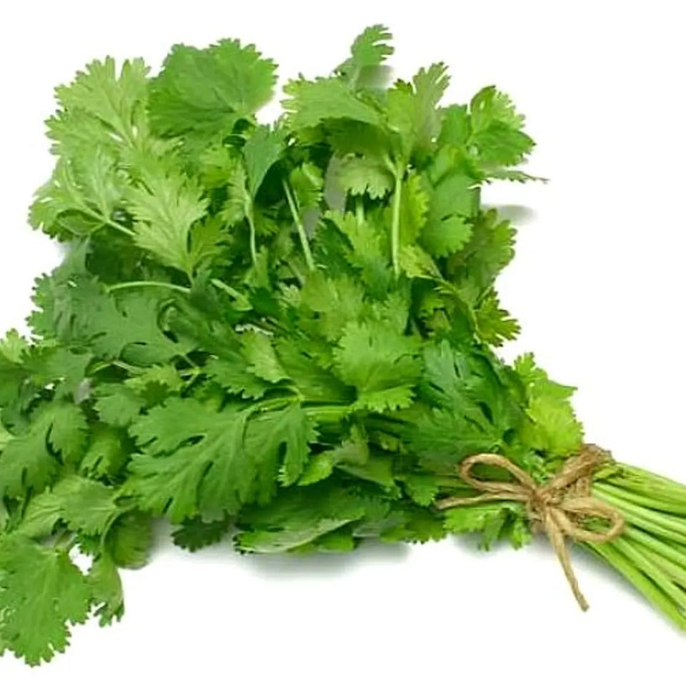 30 Semillas Cilantro