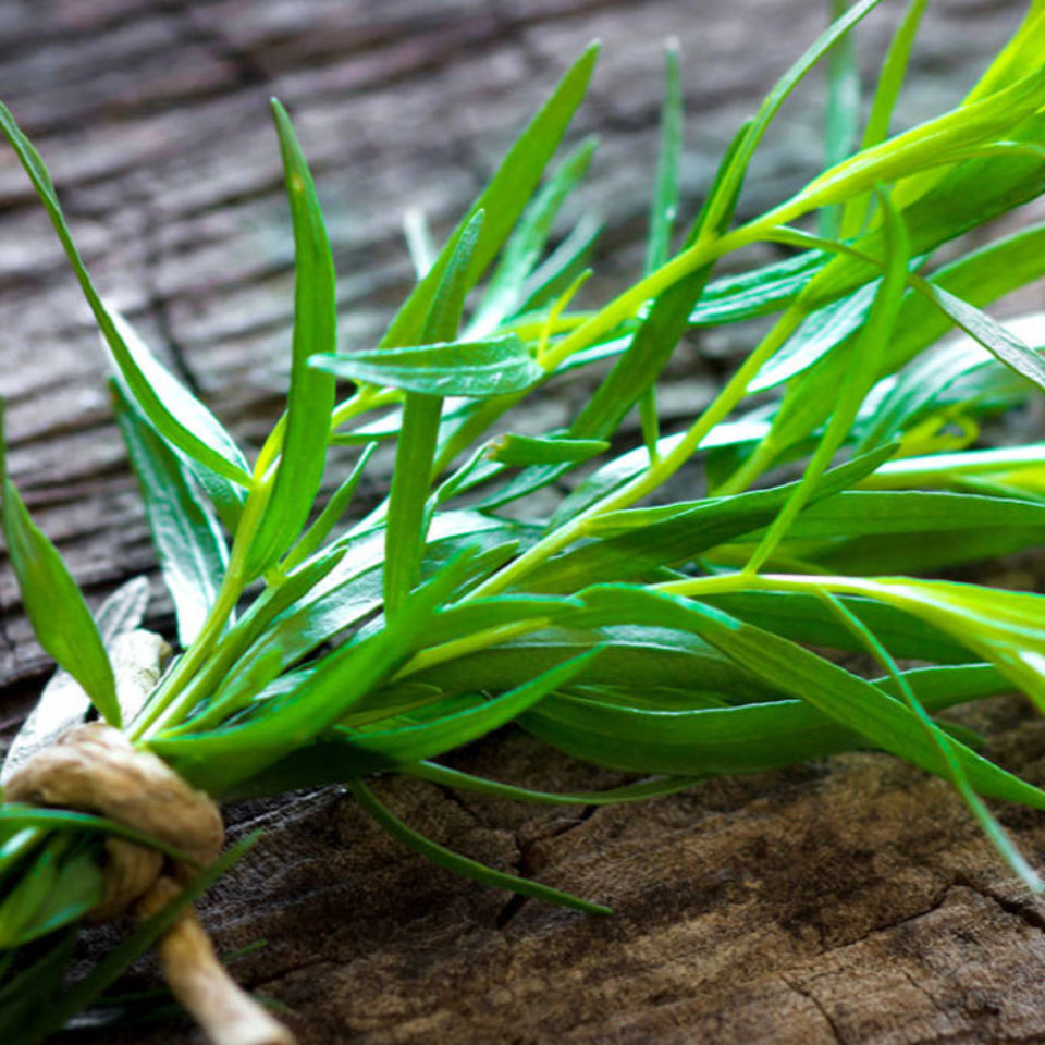 Pack de Semillas "Aromáticas para la Cocina" 👩‍🍳