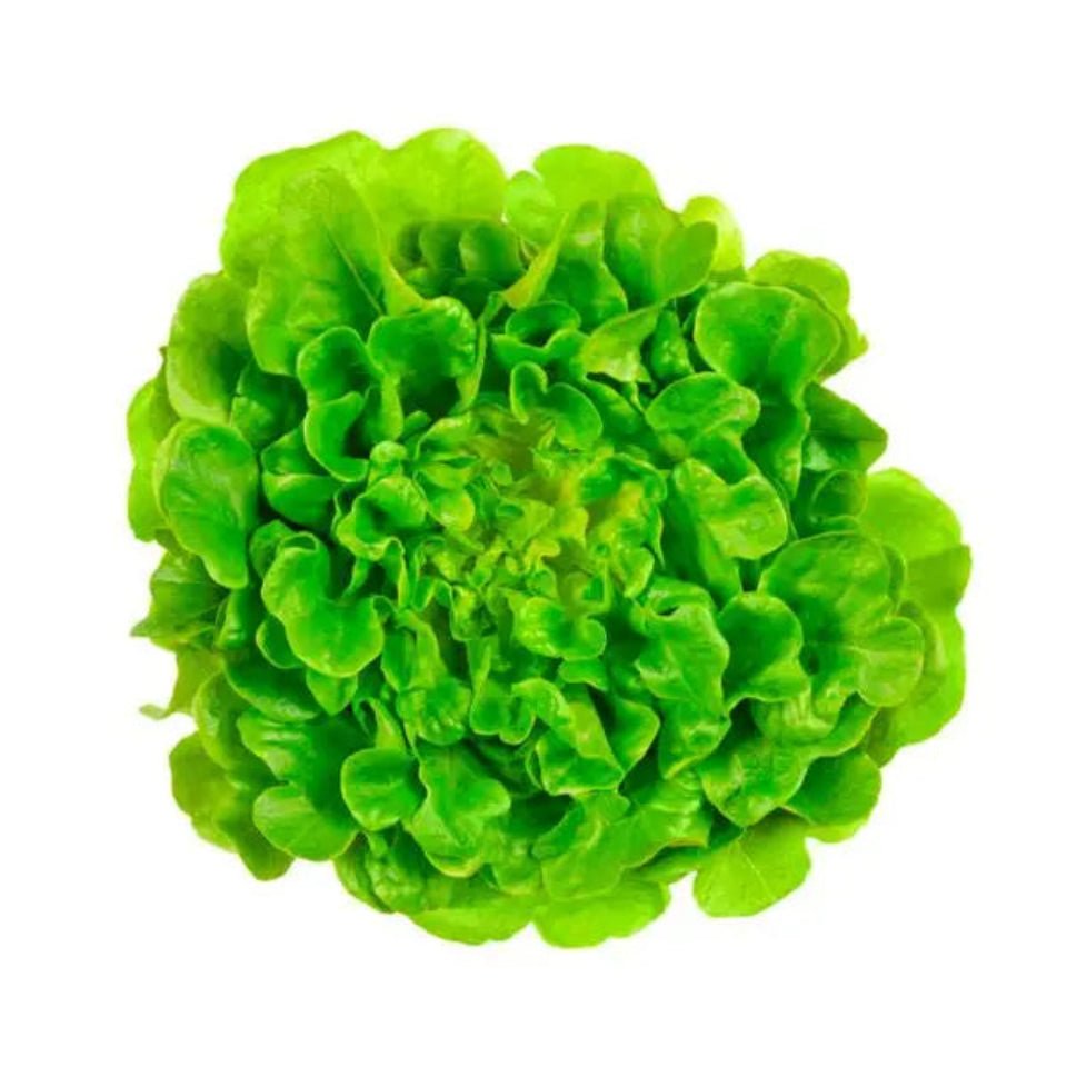 Pack de Semillas "Huerto Urbano" 🥕