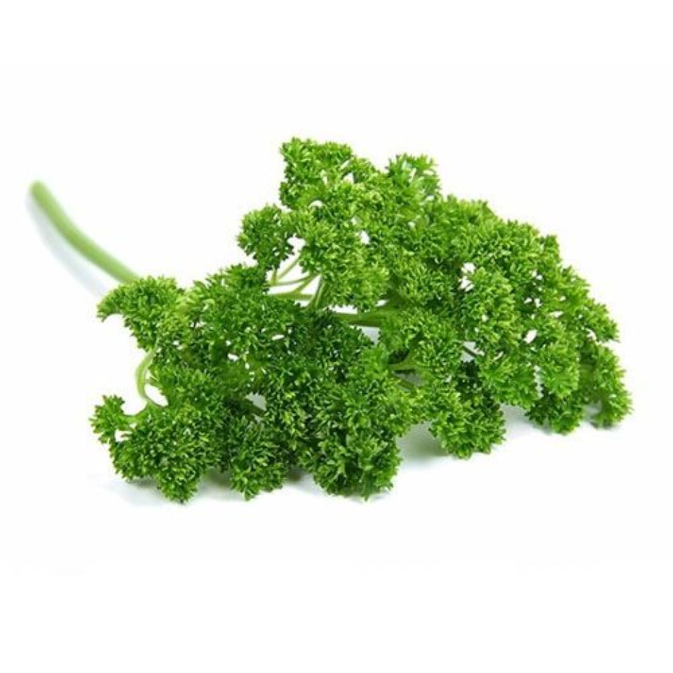 Pack de Semillas "Huerto Urbano" 🥕