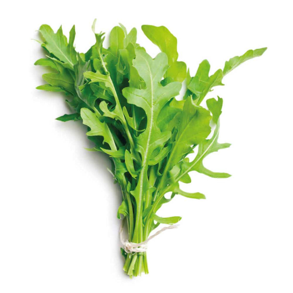 Pack de Semillas "Huerto Urbano" 🥕