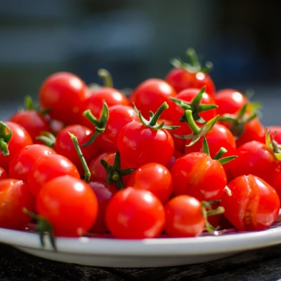 Pack de Semillas "Huerto Urbano" 🥕